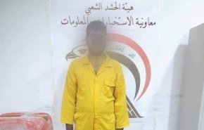 مسئول انتقال عناصر داعش در بغداد دستگیر شد