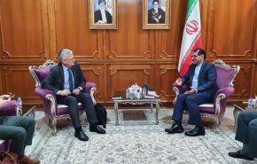 دیدار نماینده ویژه سوئد در امور یمن با سفیر ایران در عمان