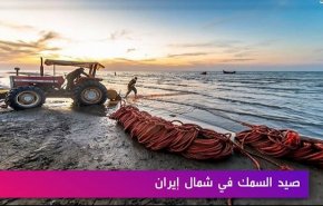 صيد السمك في شمال ايران