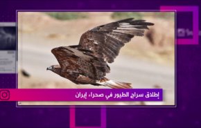 إطلاق سراح الطيور في صحراء إيران