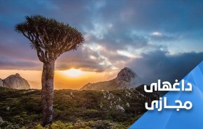 جزیره زیبای سقطری در آرزوی رهایی از چنگال امارات