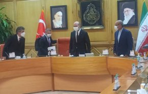 وزیر کشور با همتای ترکیه ای در تهران دیدار کرد