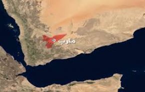 القوات اليمنية تحرر منطقة نجا الإستراتيجية جنوب مأرب