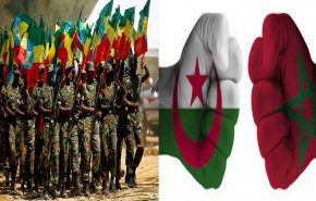 توتر علاقات الجزائر بالمغرب.. قوات المعارضة الاثيوبية على تخوم أديس أبابا 
