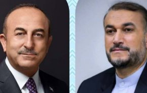 وزیر خارجه ترکیه وضعیت سلامتی امیرعبداللهیان را جویا شد