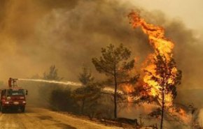 مصادر عبرية: الحرائق الكبرى المندلعة في ’إسرائيل’ بفعل فاعل