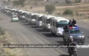 قبایل مأرب در حال پیوستن به مقاومت یمن + ویدئو
