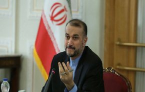 امیرعبداللهیان: ایرانیان خارج از کشور با آرامش و بدون نگرانی به ایران سفر کنند و بازگردند