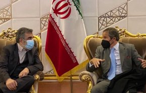 ورود مدیرکل آژانس بین‌المللی انرژی اتمی به تهران