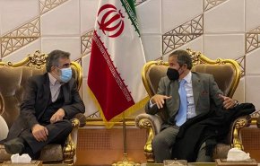 المدير العام للوكالة الدولية للطاقة الذرية يلتقي رئيس منظمة الطاقة الذرية الايرانية
