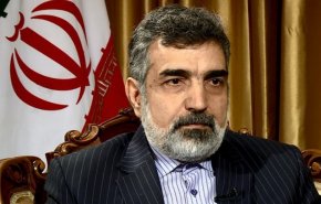 كمالوندي: إيران تهدف الى صناعة نووية سلمية