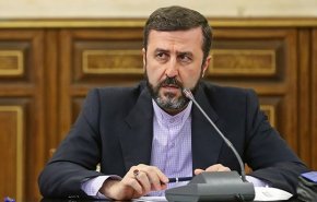 مساعد رئيس القضاء الايراني: قرار حقوق الانسان المناهض مسيس