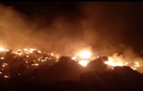 حريق كبير في إحدى غابات بشامون جنوب بيروت