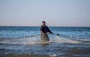 موسم صيد السمك في شمال ايران