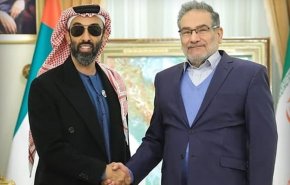 شمخانی با مشاور امنیت ملی امارات دیدار کرد