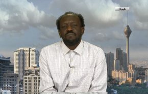 محلل سياسي سوداني: التظاهرات في السودان سلمية 