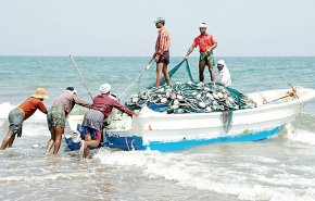 جمعية الوفاق تنتقد الحكومة البحرينية لقضائها على مصائد الأسماك 