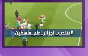 أعلام فلسطين في بطولة كأس العرب + فيديو