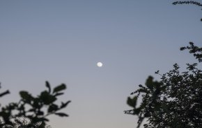 بالصور.. أصغر بـدر في 2021 يزين سماء مصر والعالم العربي!