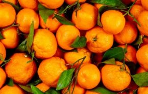 روزانه چند عدد نارنگی می توانید بخورید؟