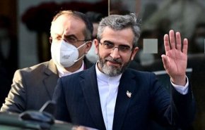 الوفد الايراني يصل إلى فيينا لإجراء الجولة الثامنة من مفاوضات الغاء الحظر