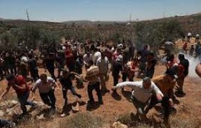 دعوات فلسطينية للتصدي لمسيرات المستوطنين في الضفة