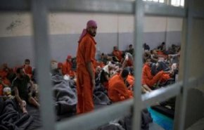 جزئیات فرار سرکرده‌های داعش از زندان «الحسکه» سوریه