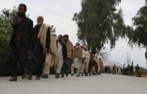 طالبان:۵۰ عضو داعش در افغانستان تسلیم شدند