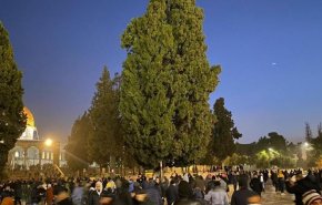 الآلاف يلبون 