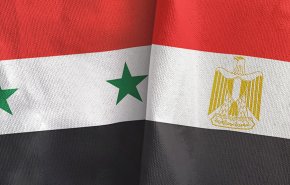 مصريون: الدولة السورية عصية على كل أعدائها