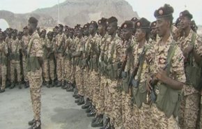 اليمن.. قصف مرتزقة سودانيين على الحدود اليمينة السعودية