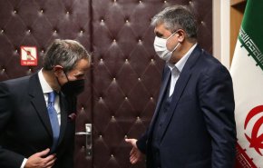 مدير الوكالة الذرية يلتقي رئيس منظمة الطاقة الذرية الايرانية