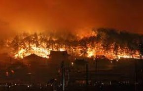 كوريا الجنوبية..اندلاع حرائق كبير وفرار 6 آلاف من منازلهم