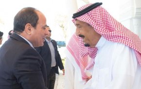 الرئيس المصري والملك السعودي يناقشان بعض القضايا
