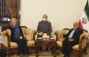 دیدار سفیر ایران در عراق با نماینده سازمان ملل