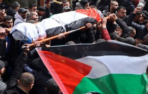 'التعاون الإسلامي' تدين جرائم الإعدامات الميدانية بحق الفلسطينيين