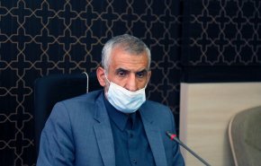 معاون وزیر کشور: عراق در لغو روادید سفر زمینی به عتبات عالیات تسریع کند