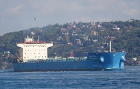 روسيا: مزاعم منع حركة سفينة محملة بالقمح الأوكراني الى مصر غير صحيحة