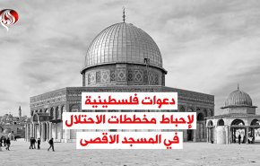 فيديوغرافيك.. دعوات فلسطينية لإحباط مخططات الجماعات الصهيونية في المسجد الاقصى