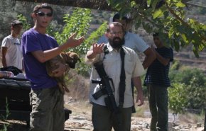 مستوطنون يهاجمون مواطنين فلسطينيين شرق بيت لحم
