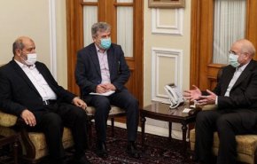 دیدار عضو ارشد جنبش حماس با رئیس مجلس شورای اسلامی