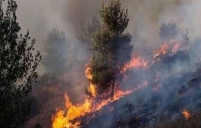 آتش‌سوزی گسترده در شمال فلسطین اشغالی