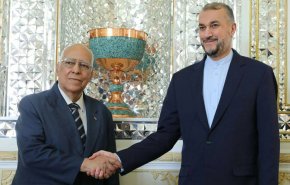 فرستاده ویژه رییس جمهور کوبا با امیرعبداللهیان در تهران دیدار کرد/ ضرورت بهره گیری از تجربیات ایران وکوبا برای بی اثر کردن تحریم ها 