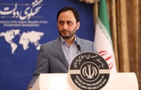 واکنش سخنگوی دولت به ترور یکی از پاسداران مدافع حرم در تهران