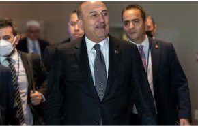 کاهش اختلافات ترکیه و مصر بدون انجام دیدارهای دیپلماتیک