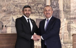 بن‌زاید: از دیپلماسی ترکیه در قبال «اسرائیل» تشکر می‌کنم