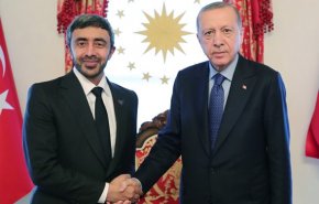 دیدار وزیر خارجه امارات با اردوغان و تأکید بر حفظ امنیت و ثبات منطقه