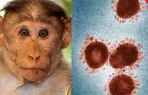 امارات متحده از شناسایی سه بیمار دیگر مبتلا به آبله میمونی خبر داد