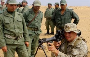 المغرب وامريكا يطلقان مناورات الأسد الإفريقي بالقرب من الصحراء الغربية