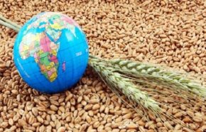 دول ’بريكس’ تؤكد على دورها في ضمان الأمن الغذائي العالمي